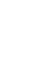Dolphin AI